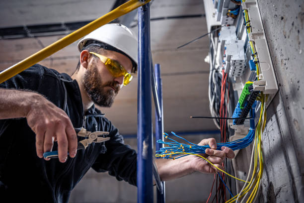 Best Electric Panel Repair  in Belle, WV